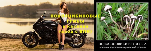 дживик Аркадак