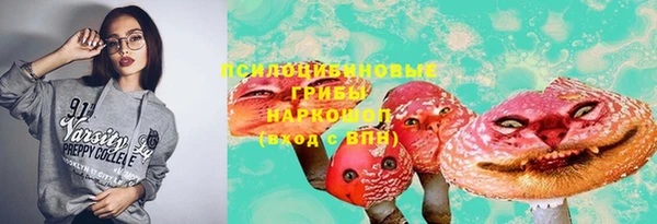 дживик Аркадак