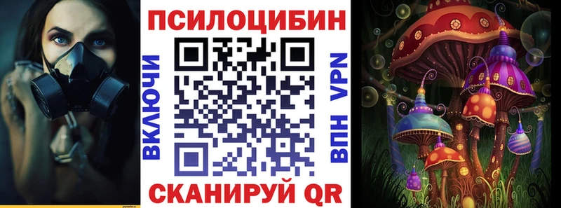 Купить где Трёхгорный Галлюциногенные грибы Cubensis